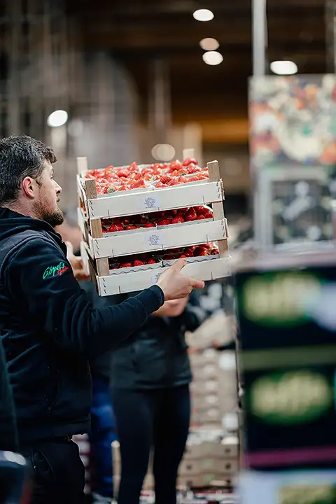 ein Mann in schwarzer Jacke trägt Holzkisten voller Erdbeeren in einer Markthalle