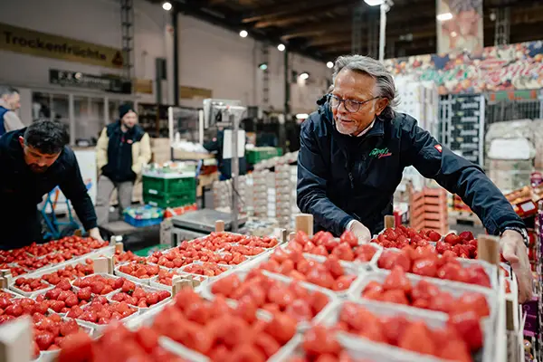 ein älterer Mann mit Brille und Daunenjacke sortiert Steigen voller Erdbeeren in Pappschalen in der Großmarkthalle